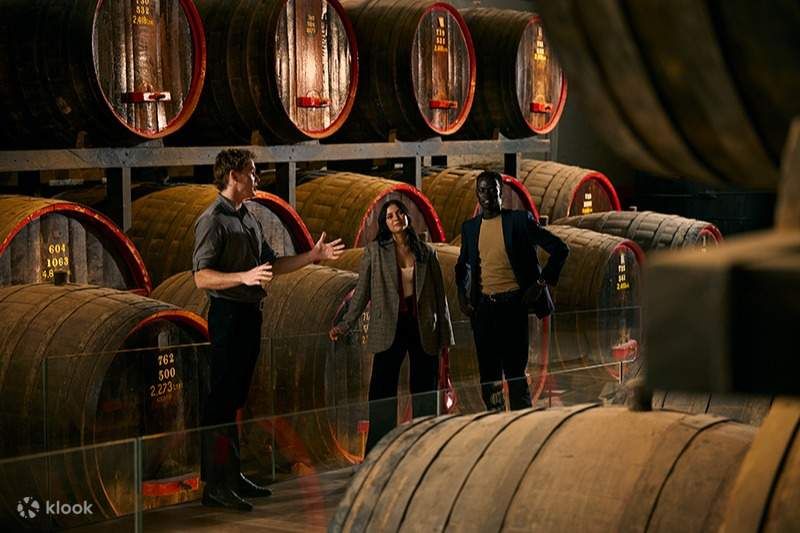 奔富百年地下酒窖参观+品酒(需提前预订)