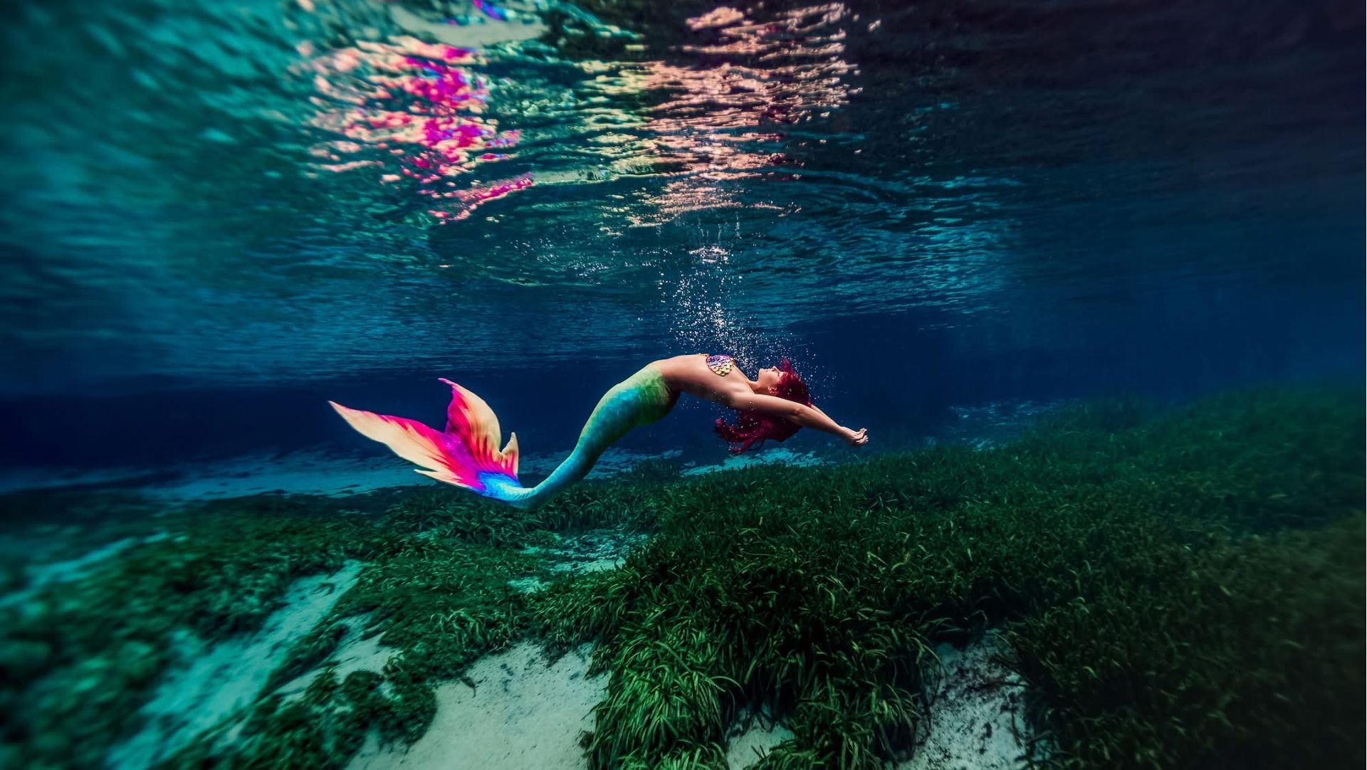 ボートダイブに変更