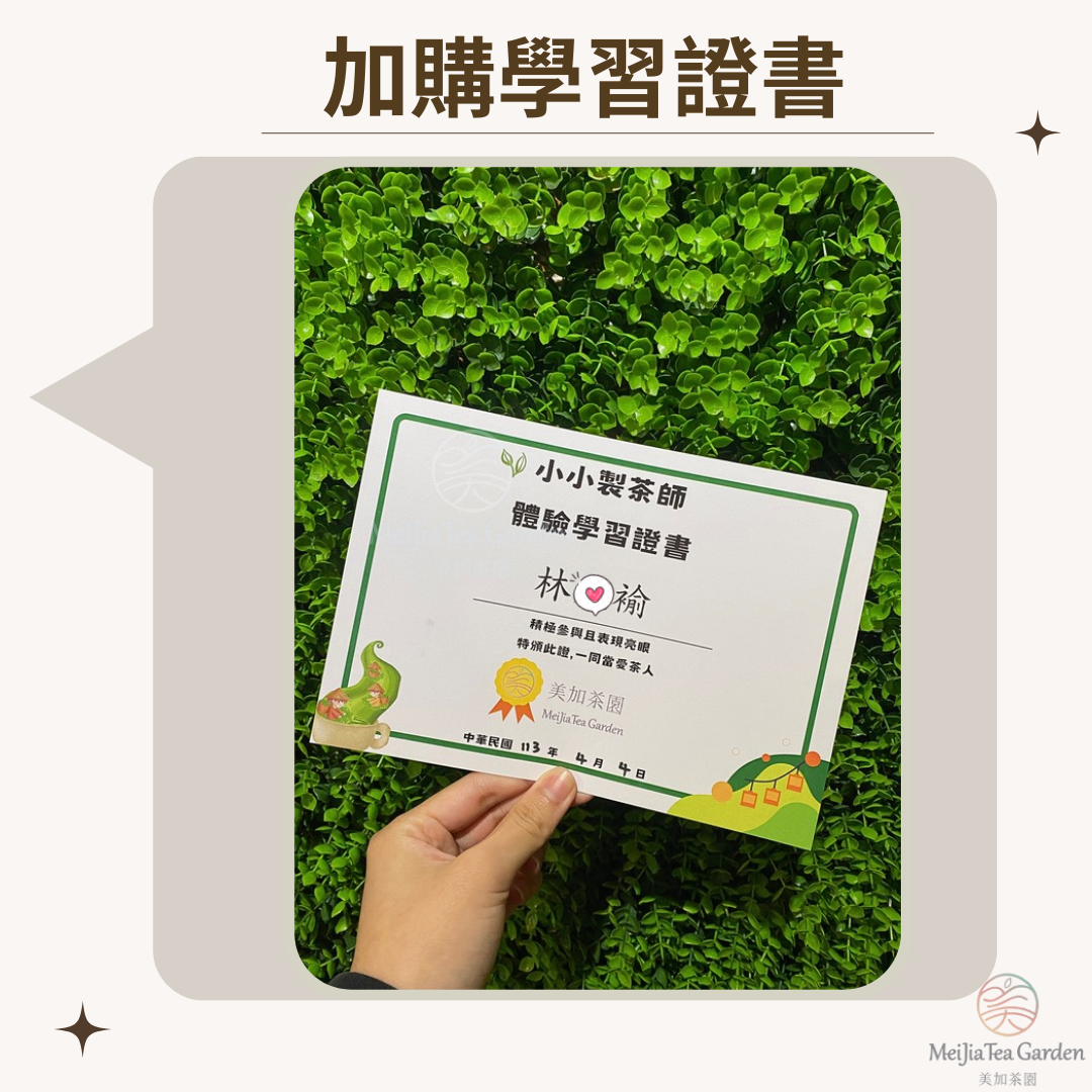 小小製茶師體驗證書