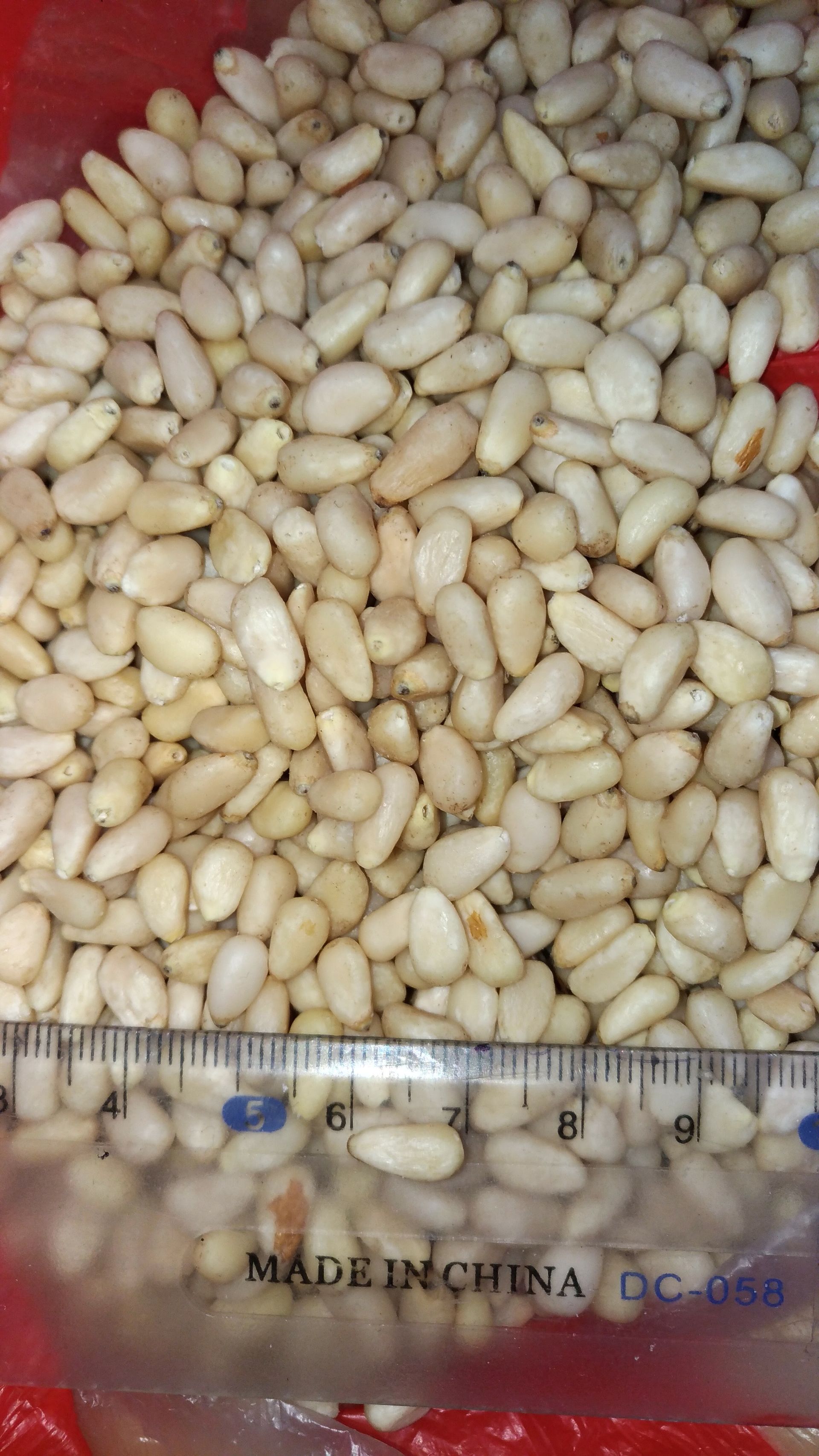 西伯利亞雪松子