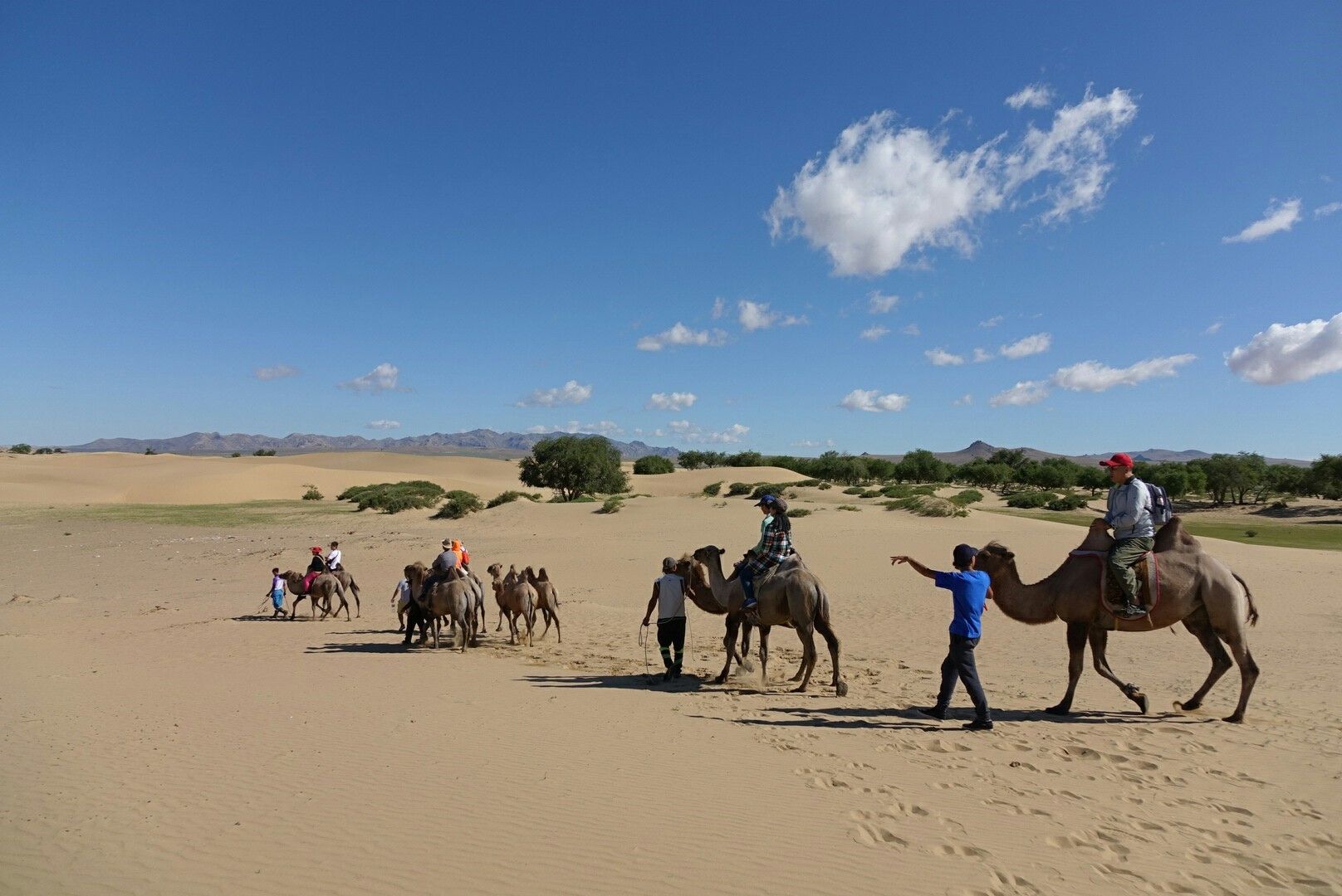 騎駱駝體驗15分鐘