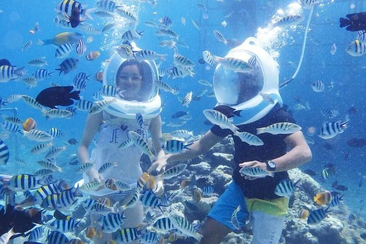 Sea Walking 海底漫步