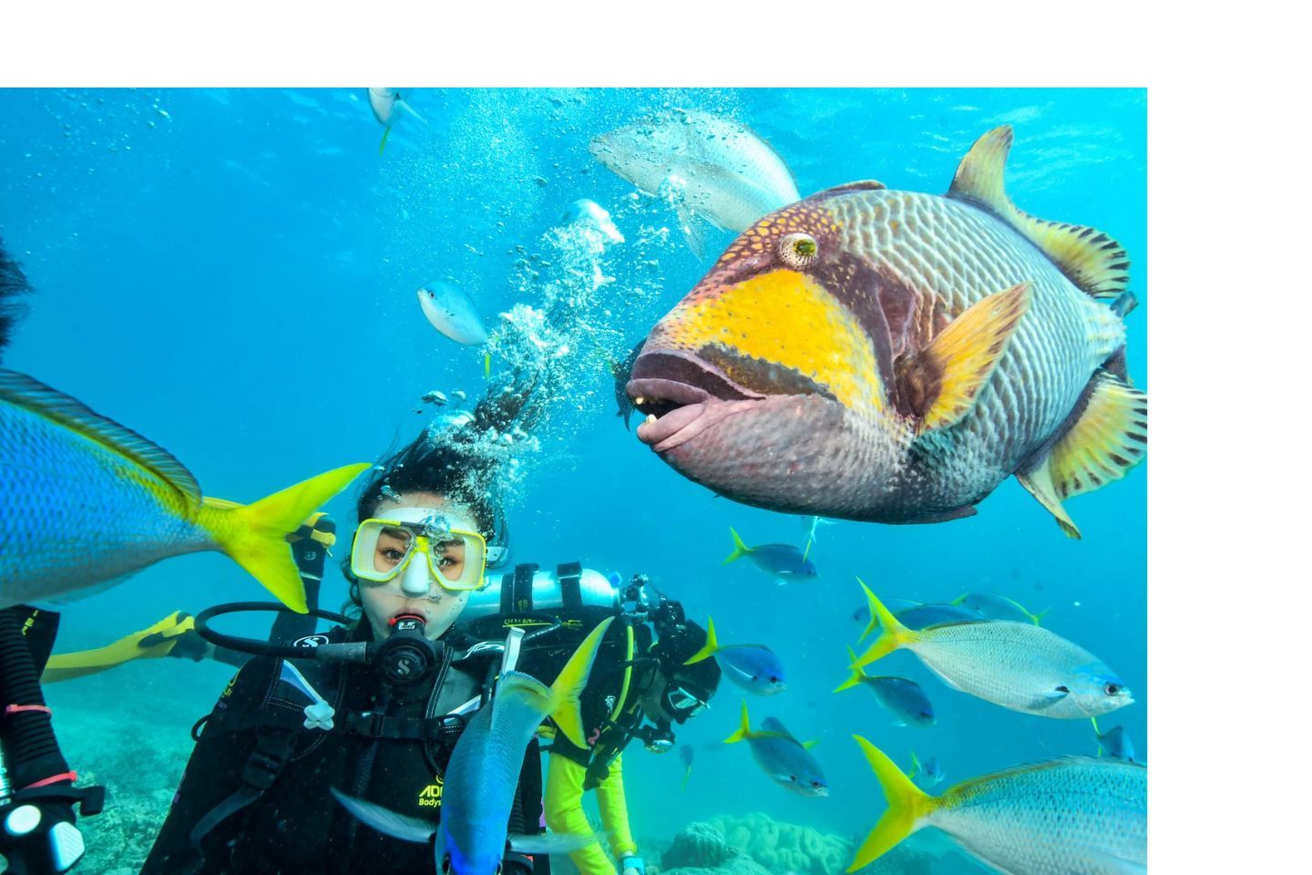 海底漫步(12岁以上)(大人/小孩)