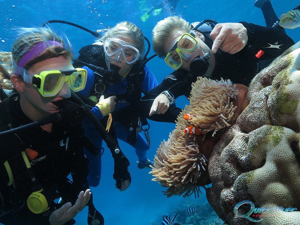 QuickSilver-海底漫步体验