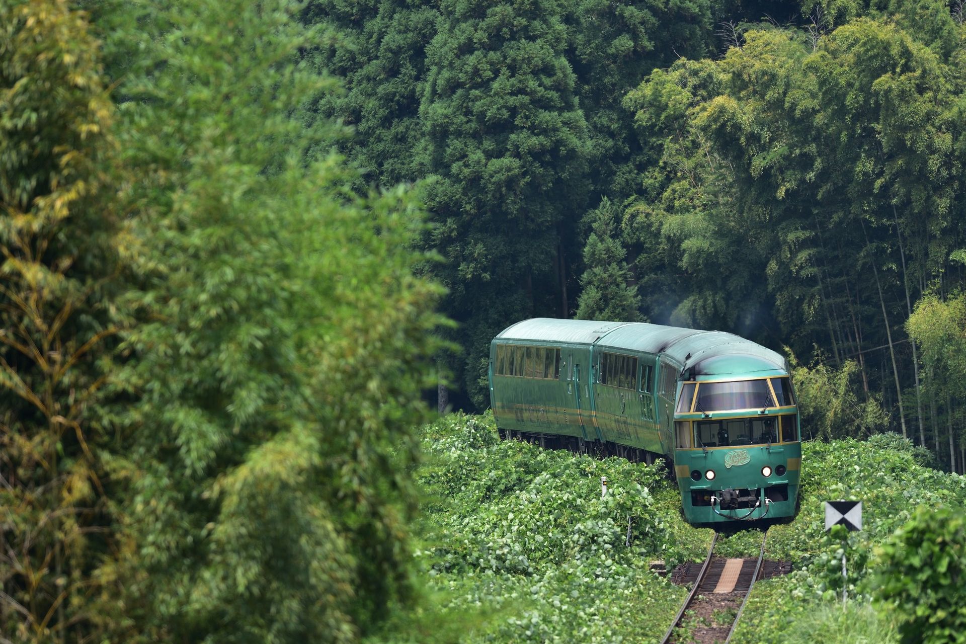 YUFUIN NO MORI TRAIN / RETURN TICKET / PER PERSON