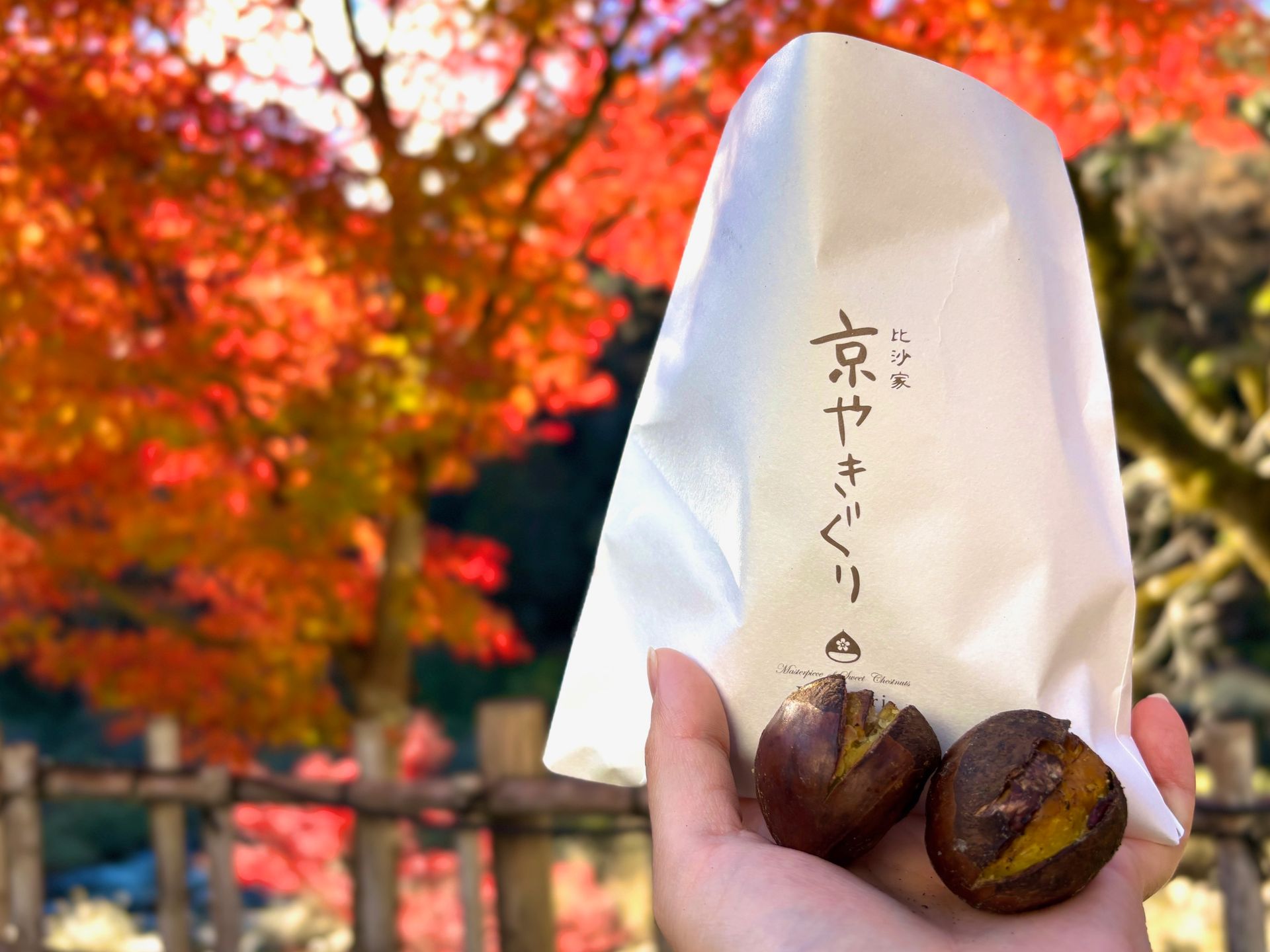 【Add-on】Meal Coupon