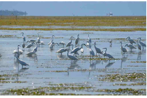 Entrance Fee for Package C