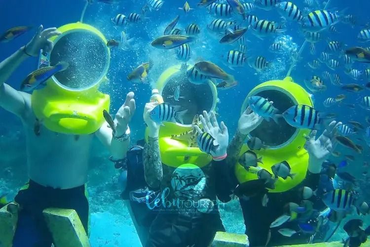 Helmet Diving (15-20 MINS)