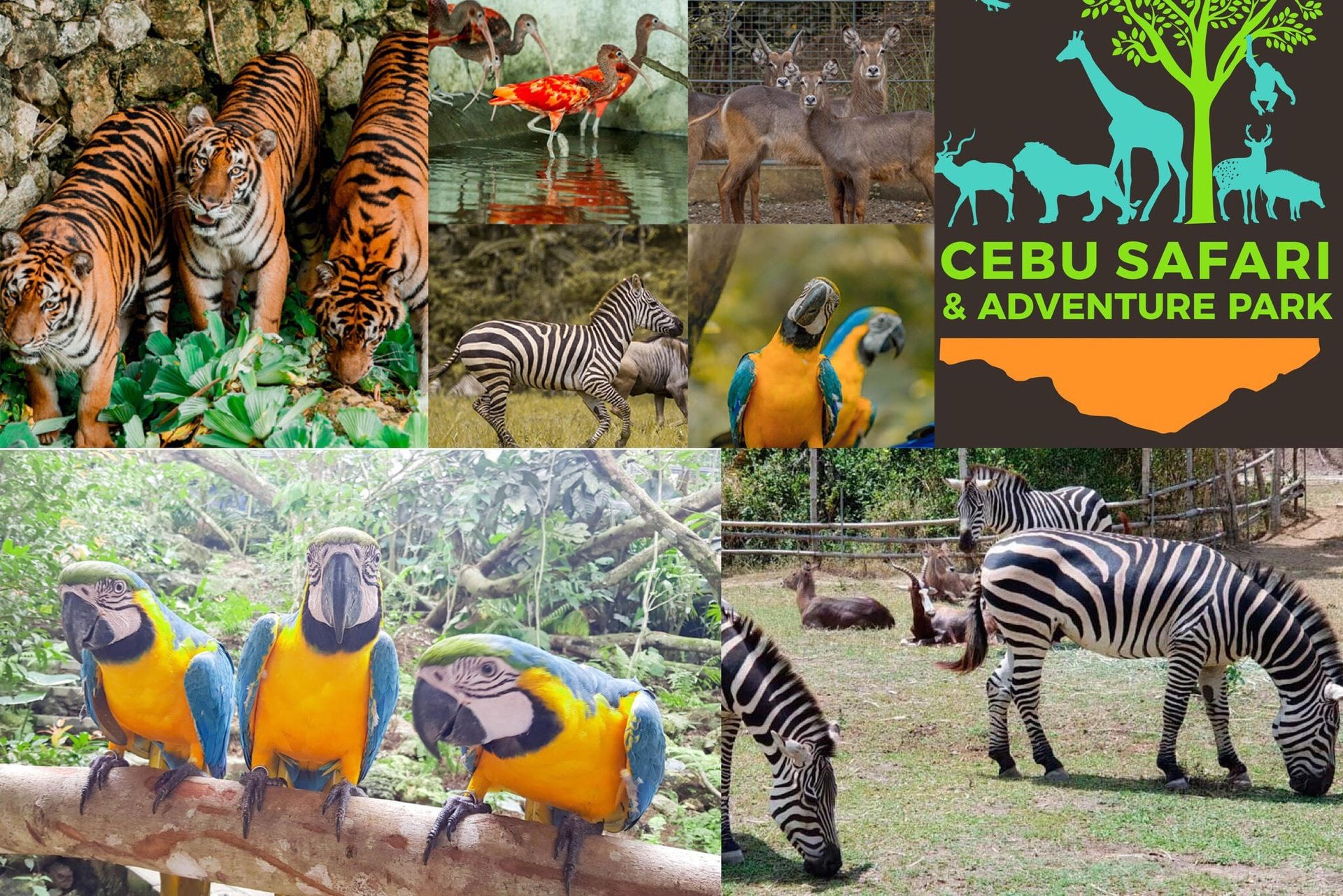 Cebu Safari Adventure Park Ticket (Weekends & Holidays)