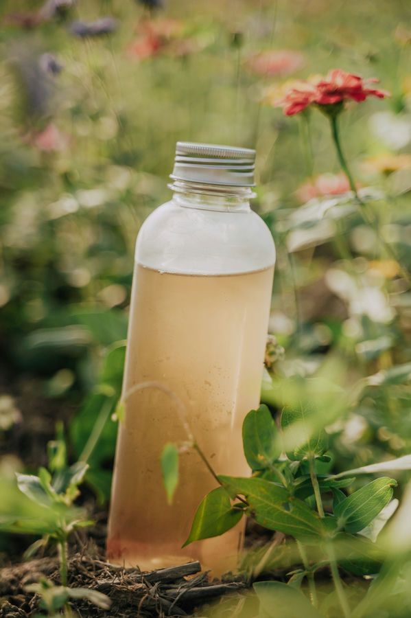 🍵 里山友善杭菊茶(500ml)