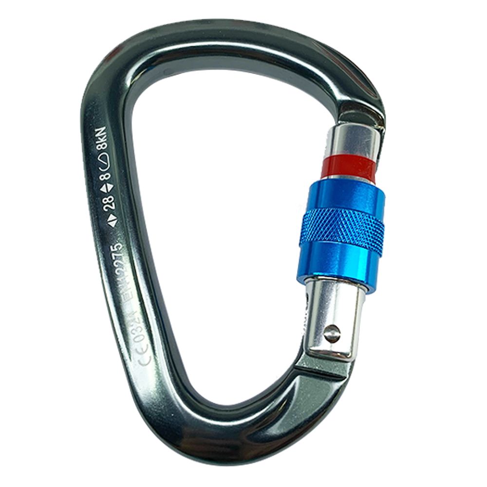 租借|D型有鎖鉤環