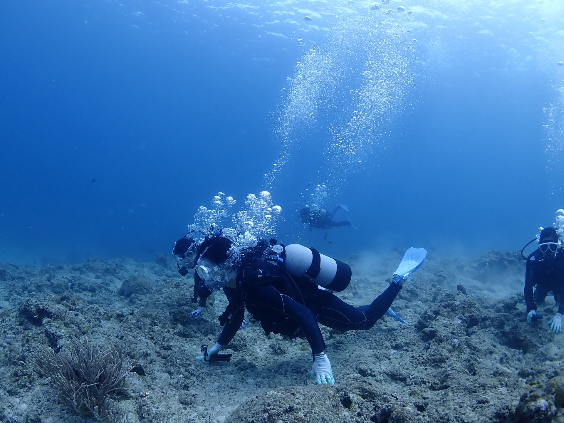 水中写真プレゼント