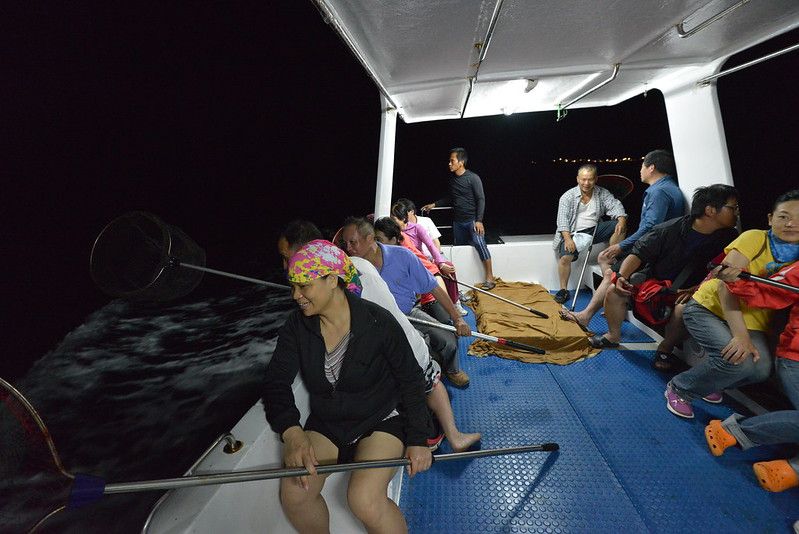 蘭嶼→夜間賞飛魚抓飛魚