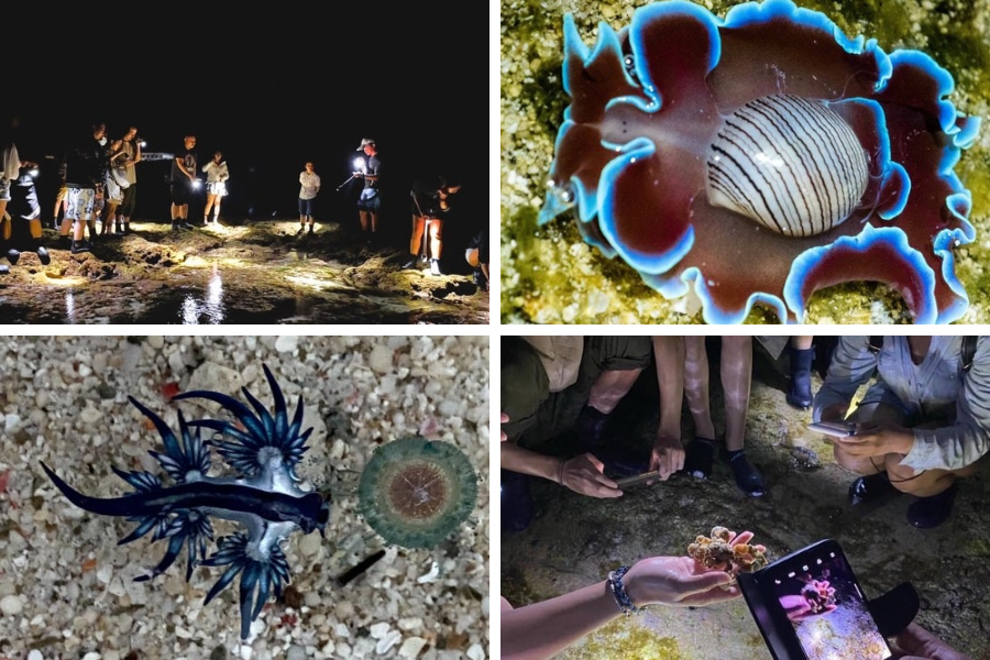 綠島→潮間帶夜間導覽