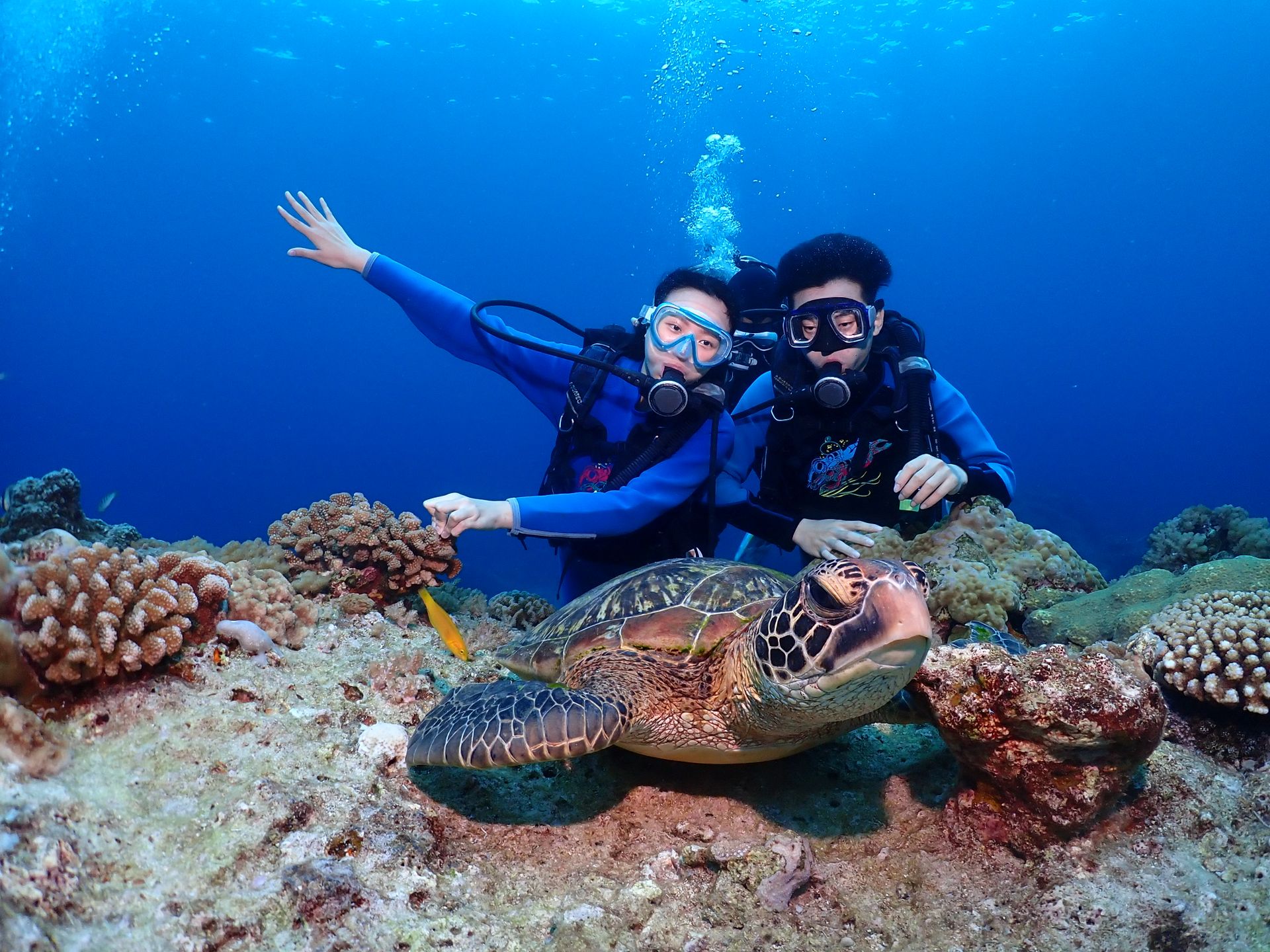 綠島→浮潛升級水肺潛水