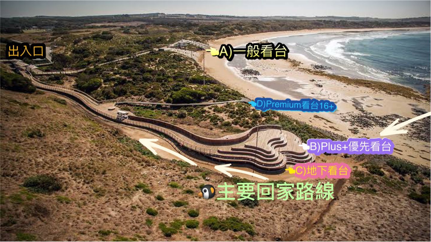 菲利普島企鵝歸巢地下觀賞區門票 - 成人