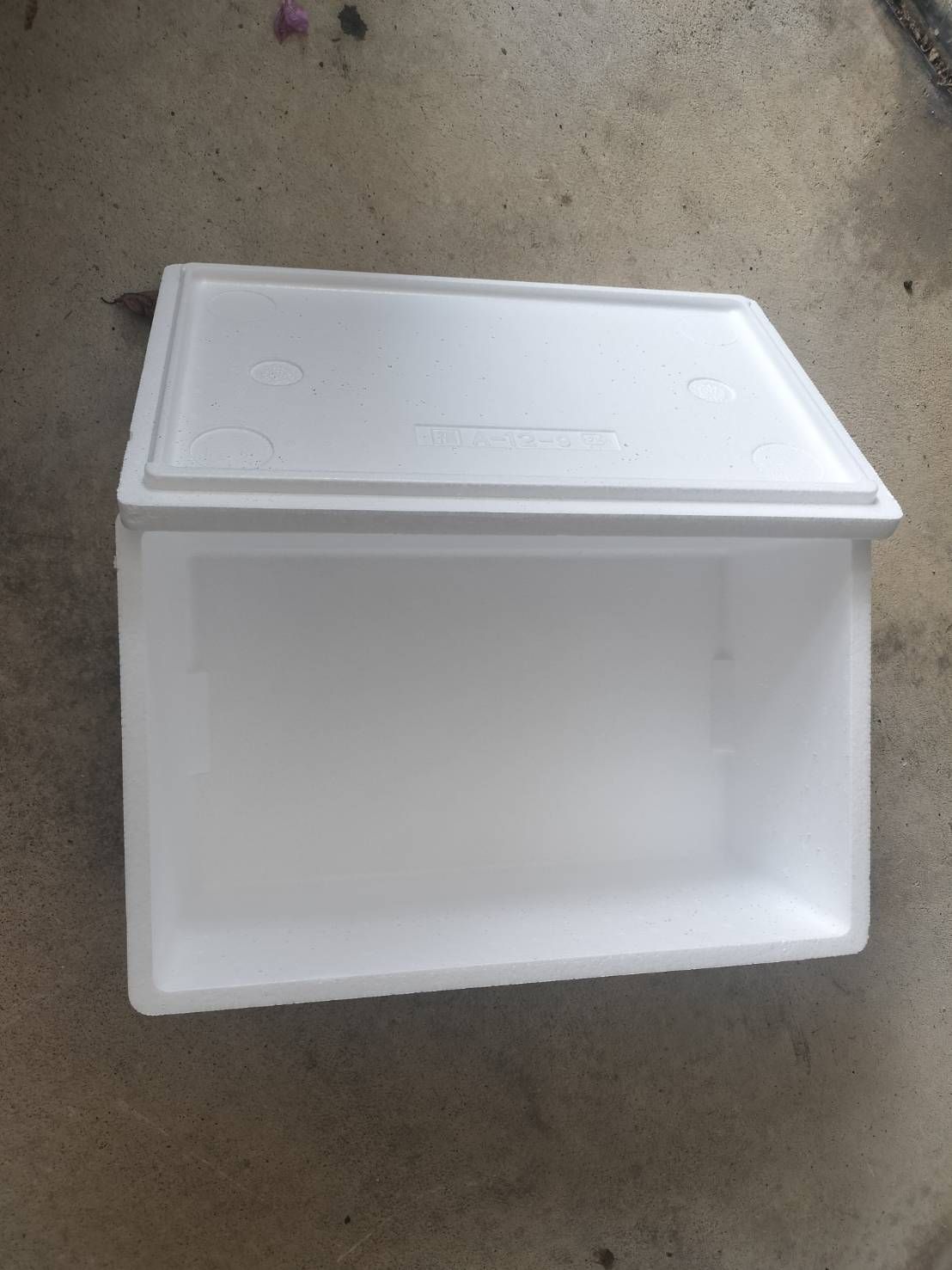 発泡スチロール(中)+氷