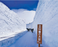 立山黑部雪墙