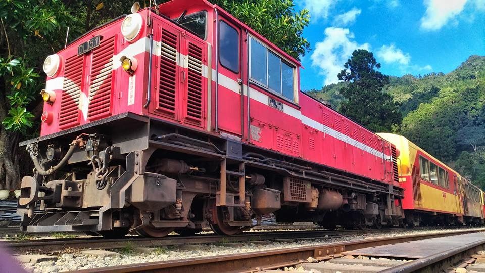 嘉義至奮起湖林鐵火車單程車票