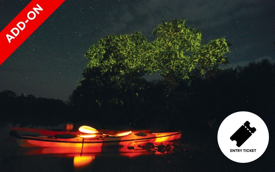 Abatan River Firefly Watching (Boat+Entrance Fee) <11-15 persons>