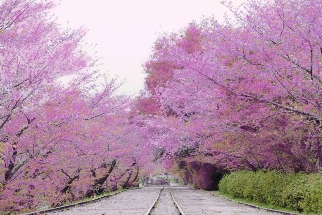 43f76fef B253 41cd A687 23310020b726