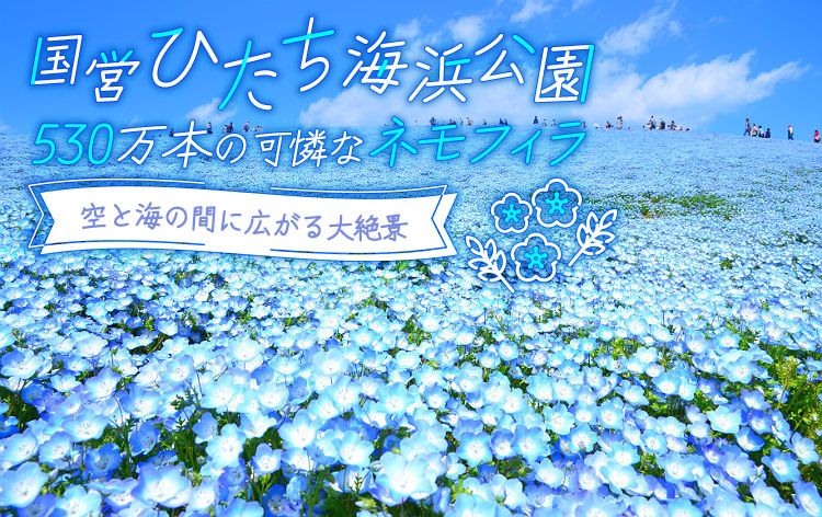 2921bc66-803d-461a-b5f5-