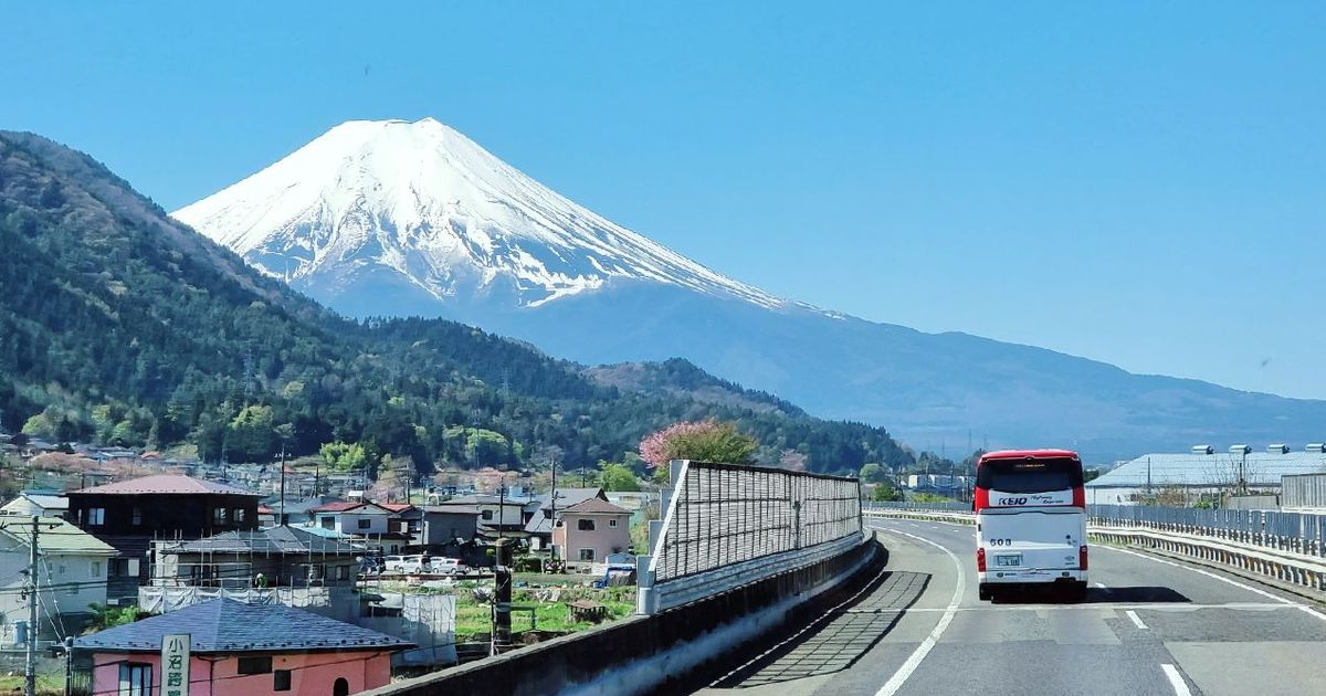 Mt. Fuji & Hakone Day Tour from Tokyo (Return by bullet train in option）