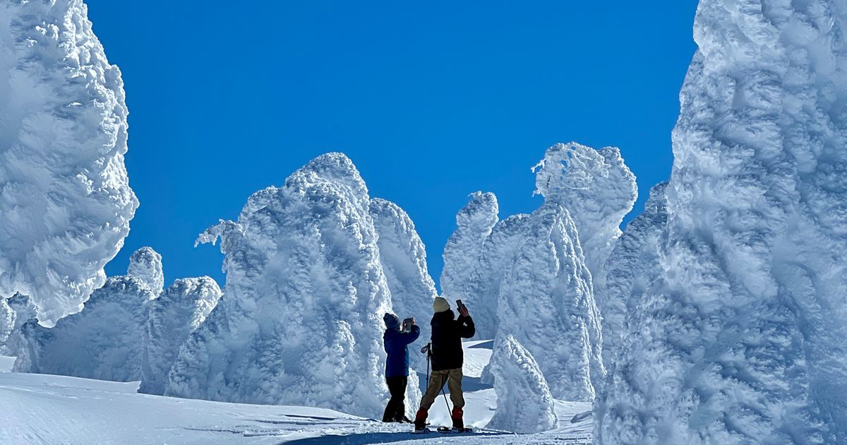 84f17e01-5eea-4c5e-b590-