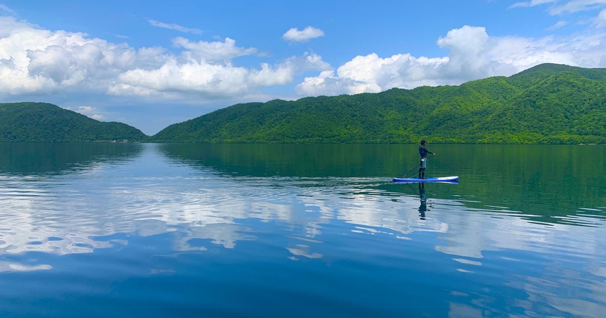 d1ce77b9-3cfc-4bf3-ae49-