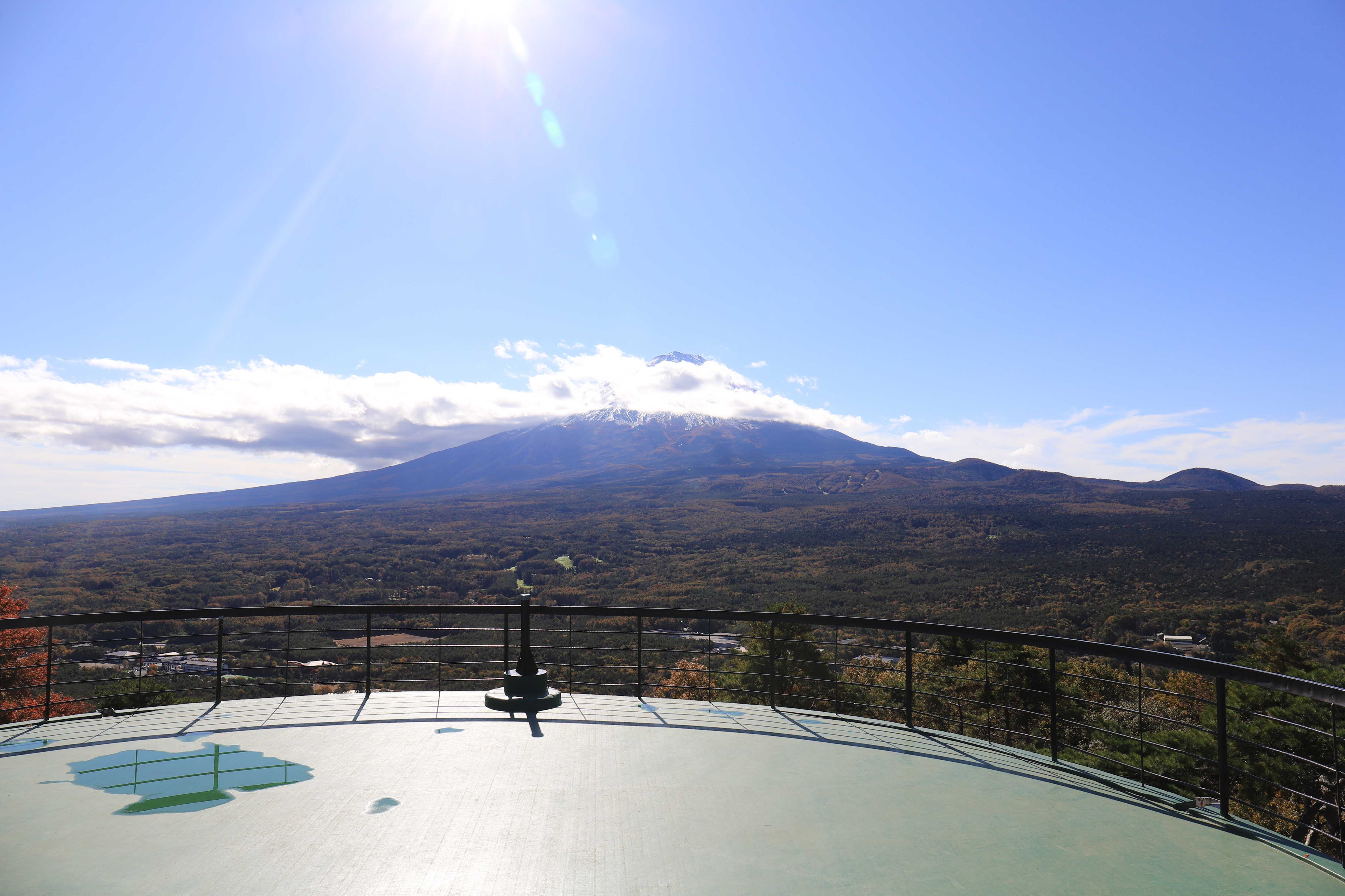 富士観光トラベル