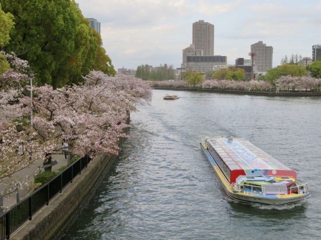 Dc3c831c 93ff 4b2d 983e 3d842ecba0e4