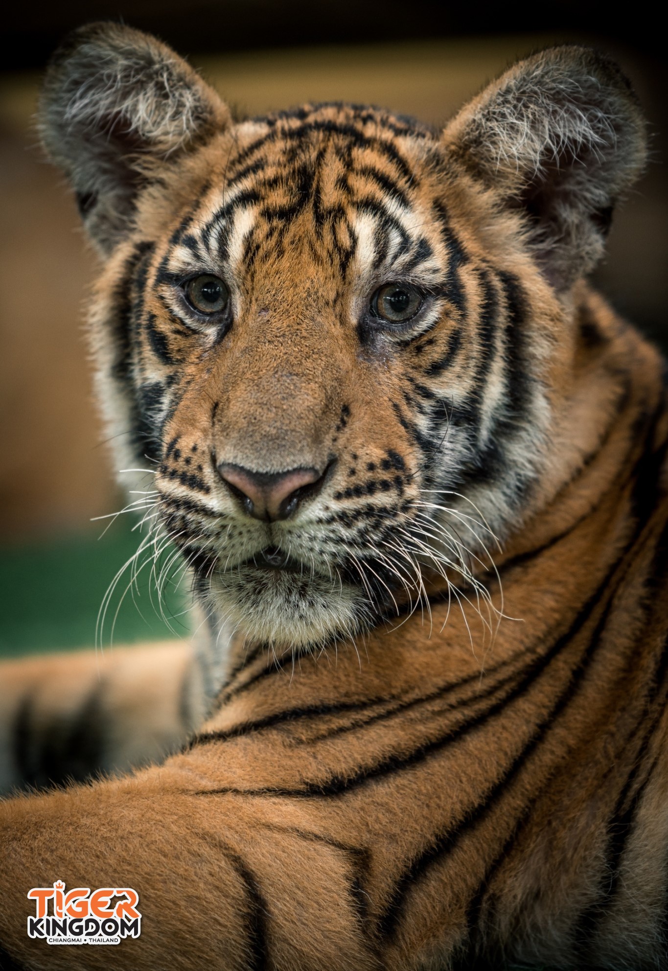 漢清邁Han Chiang Mai